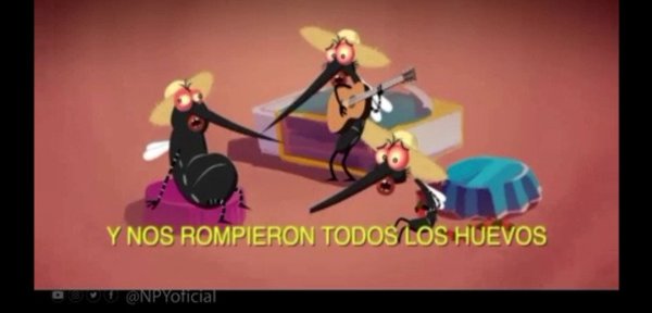 La polka del mosquito busca hacerle frente al dengue | Noticias Paraguay
