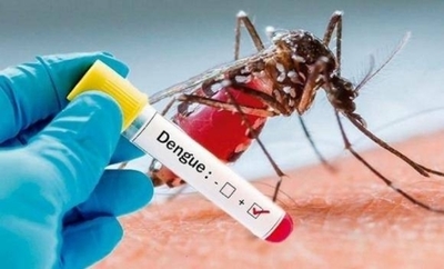 HOY / Dengue: paracetamol en dosis correcta sí, algunas drogas no y alcohol 1 mes después