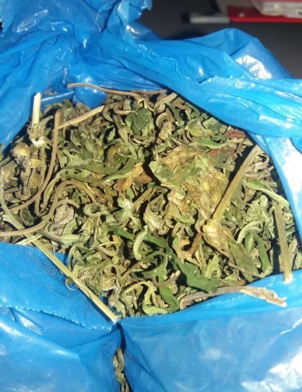 Intentan ingresar hojas de marihuana en granja penitenciaria - ADN Paraguayo