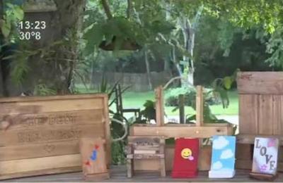 Creatividad con Palets: ¡Muebles que parecen obras de arte! - SNT