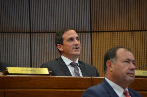 El proyecto de financiamiento político prosperaría en el Senado