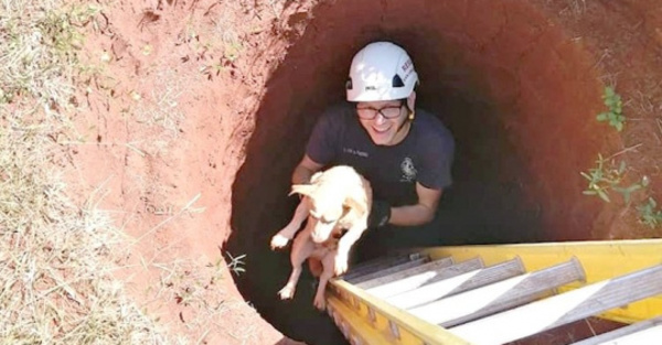 Rescataron a “firulais” de un pozo de 5 metros