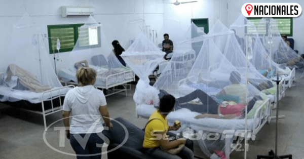 1.400 funcionarios de Salud presentaron reposo por dengue