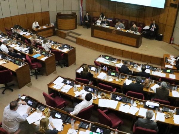 Senadores tienen en sus manos rectificar la ley de financiamiento