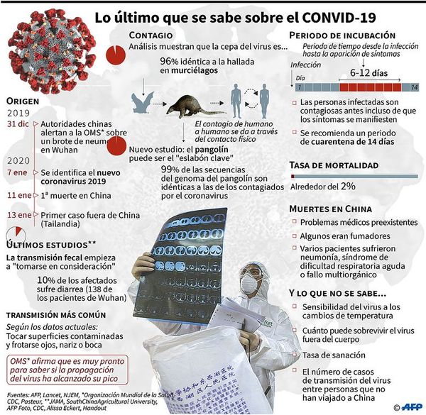 Las pruebas para la vacuna contra el COVID-19 empezarán en 4 o 5 meses - Internacionales - ABC Color