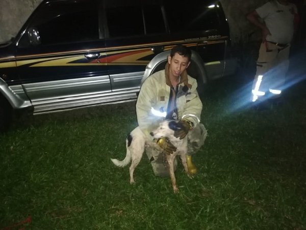 Bomberos rescatan a perra que cayó a un pozo en San Lorenzo