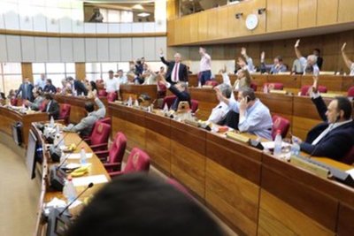 Senadores debaten declaración de emergencia sanitaria por el dengue » Ñanduti