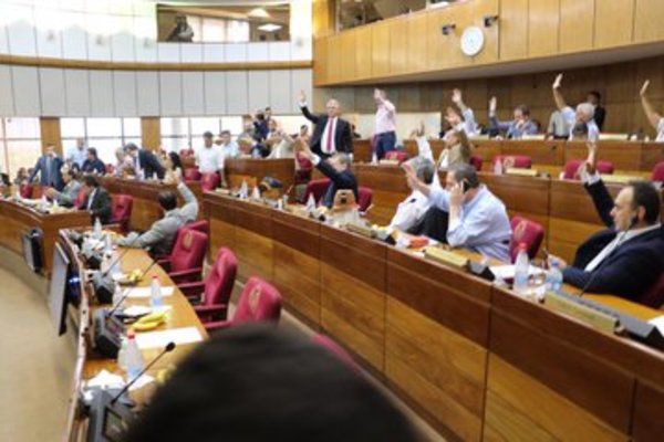 Senadores debaten declaración de emergencia sanitaria por el dengue » Ñanduti