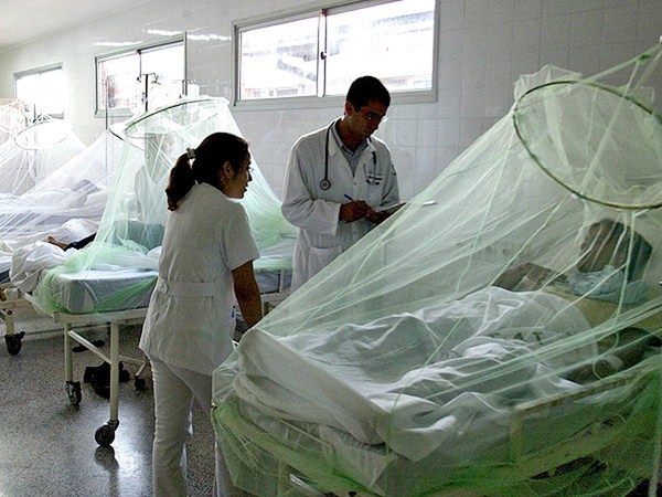 Un serotipo de dengue viene asociado con diarrea y vómitos; las plaquetas raramente bajan, alertan - ADN Paraguayo