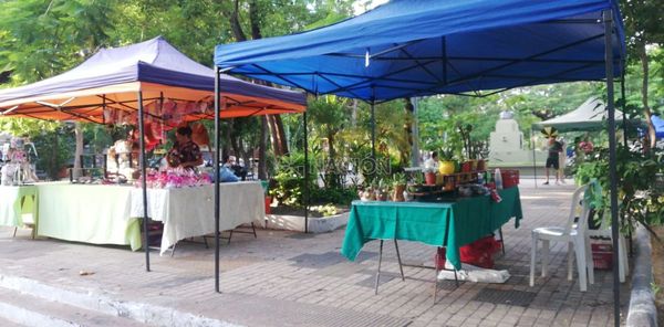 Asu Feria 2020 en Plaza O’Leary ofrece opciones para día de los enamorados