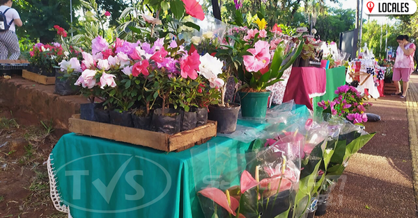 Mujeres ofrecen plantas como opción de regalo para el día de los enamorados