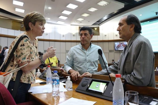 Senado aprueba declaración de emergencia sanitaria por dengue
