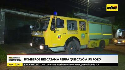 Bomberos rescatan a perra que cayó a un pozo - ABC Noticias - ABC Color