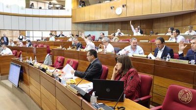 Financiamiento Político: Una nueva versión se aprueba en Senado | Noticias Paraguay