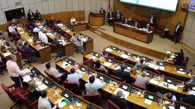 Senado aprueba proyecto de ley de Financiamiento Político