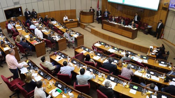Senado aprueba proyecto de ley de Financiamiento Político