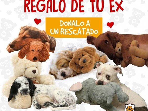 "Dale un mejor final al regalo de tu ex", la campaña a favor de los perritos