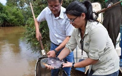 Siembran 7.000 peces en el Ñacunday