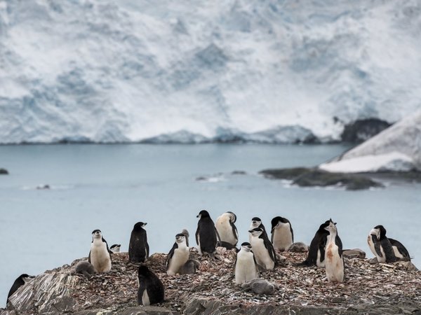 La Antártida registró temperatura récord de más de 20ºC