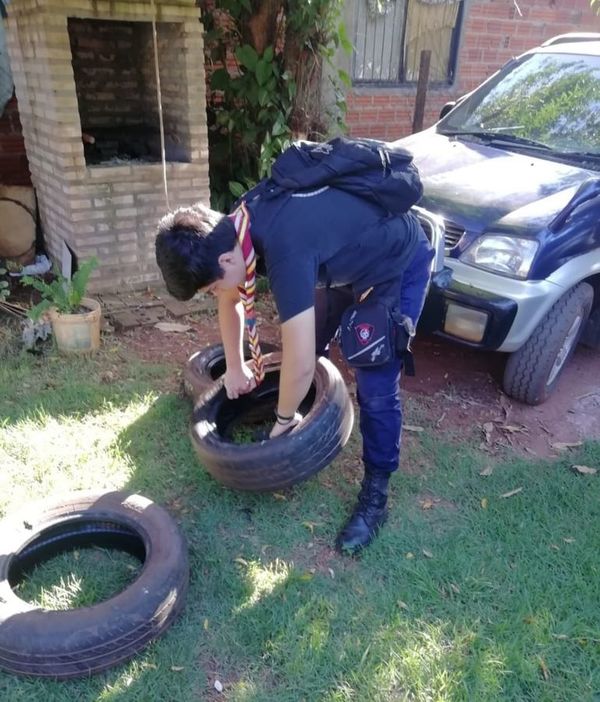 Hallan criaderos en 80% de los predios visitados durante rastrillaje contra el dengue - ABC en el Este - ABC Color