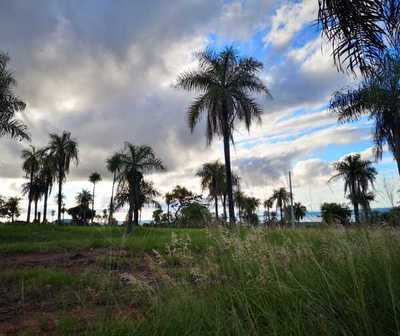 Viernes con lluvias y tormentas