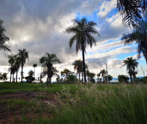 Viernes con lluvias y tormentas