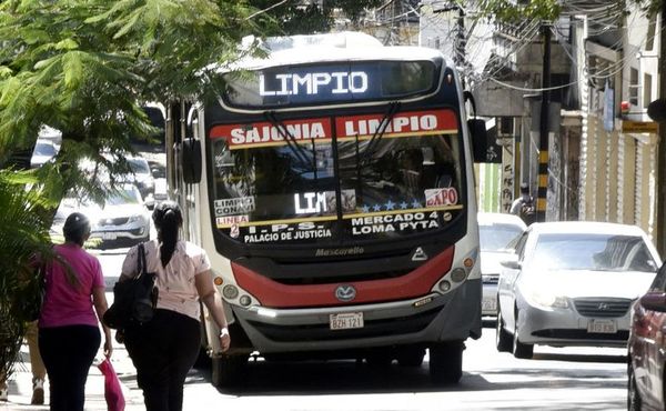 Mantienen régimen de IVA para el transporte - Economía - ABC Color