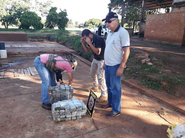 Confiscan marihuana en Canindeyú » Ñanduti