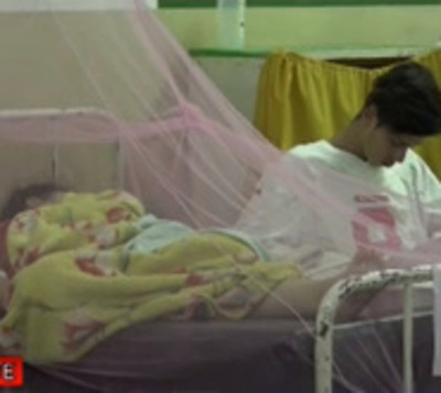 Epidemia de dengue: Salud confirma 16 muertes - Paraguay.com
