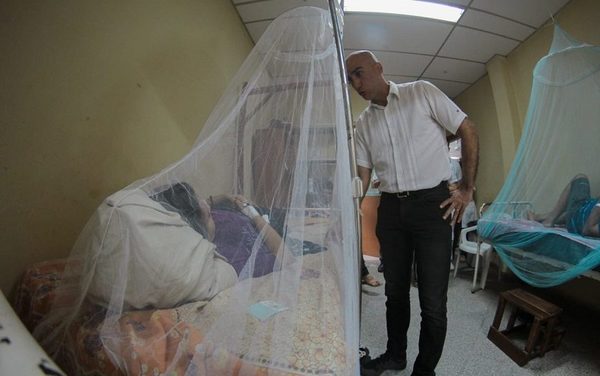 Senadores declaran 90 días de emergencia sanitaria y ambiental por epidemia de dengue