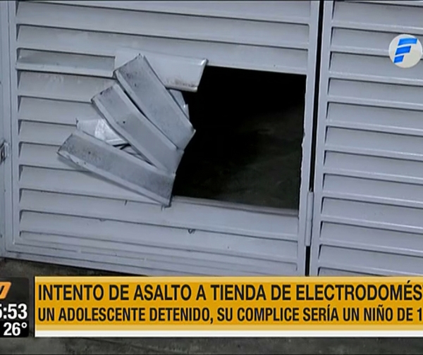 Dos menores intentaron asaltar un local de electrodomésticos, uno tendría 10 años