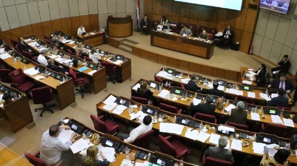 Senadores tienen en sus manos rectificar la ley de financiamiento