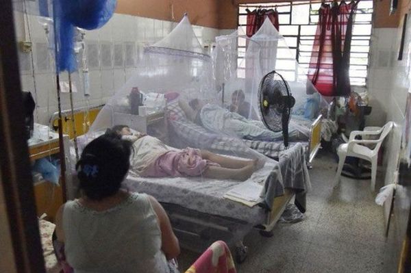 Desirée dice que Salud miente sobre cifras del dengue