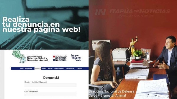 HABILITAN PÁGINA DE DENUNCIAS SOBRE MALTRATO ANIMAL