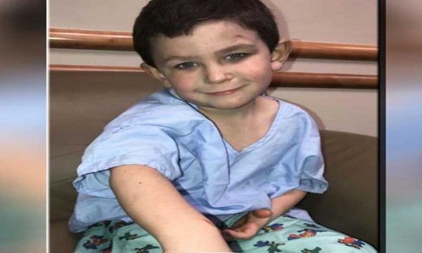 Un niño de cinco años salvó a su hermana y a su perro de un incendio en Estados Unidos