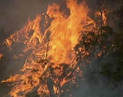 La ola de calor aviva el fuego en Australia y las llamas alcanzan Melbourne