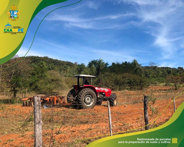 Secretaría de Agricultura realiza rastroneada de parcelas | Info Caacupe