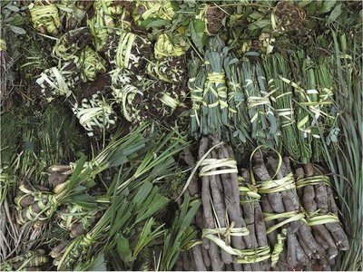 El mejor compañero del paraguayo: tereré con pohã ñana