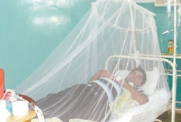 El pico más alto de la epidemia será en febrero