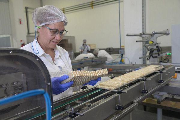 Lista de empresas morosas en IPS serán publicadas