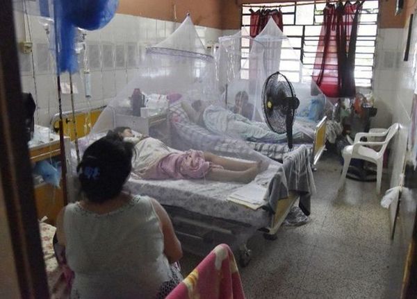 Salud alerta sobre una 3ra epidemia de dengue
