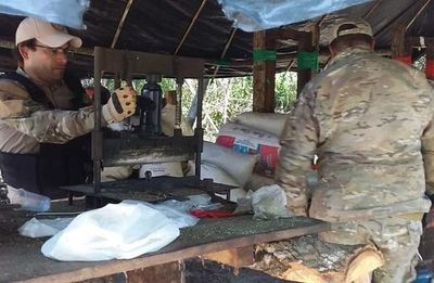 Senad detecta campamentos de producción de marihuana en Capitán Bado
