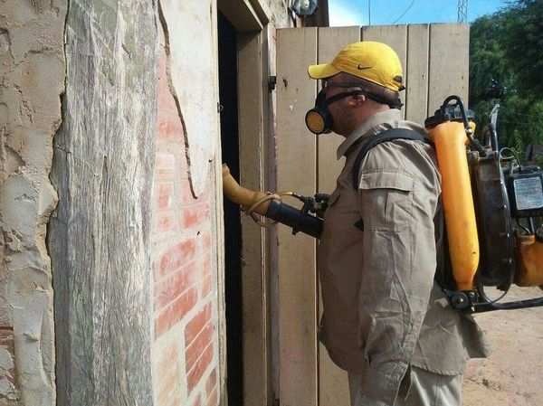Escuelas estarán fumigadas para inicio de clases