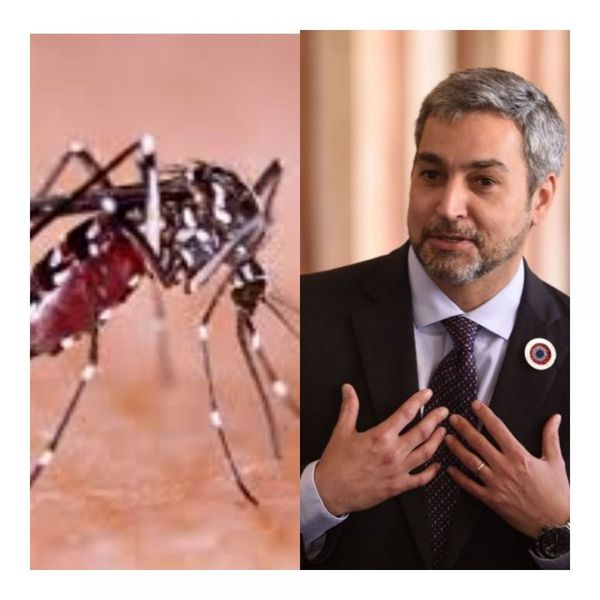 Mario Abdo sufre en carne propia primeros síntomas del dengue