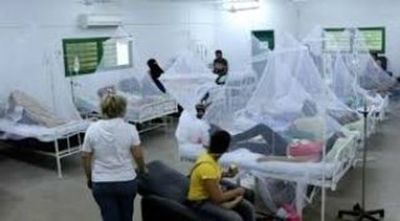 De 300 pacientes con síntomas de dengue que llegan 59 quedan internados