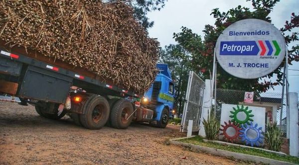 Petropar inyecto unos G. 162 mil millones en compra de materia prima a nivel nacional