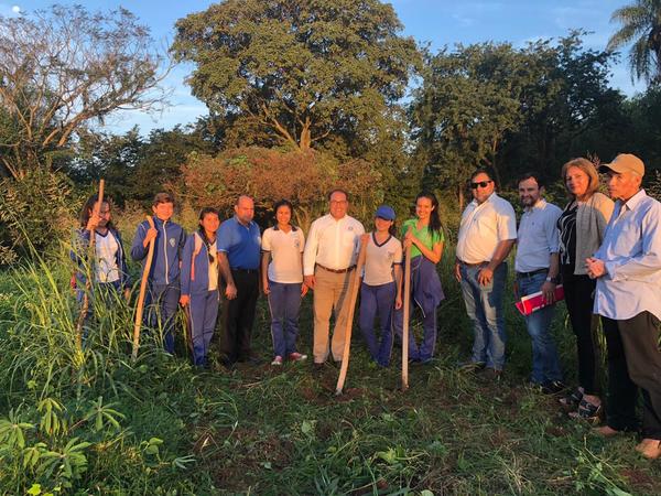 Proyecto de Reforestación de la Gobernación de Cordillera alcanza las 50 hectáreas | Info Caacupe