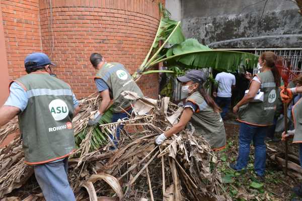 La “Mansión de los mosquitos”: Veinte mil kilos de basura, un gato muerto y el dueño tranquilo, presente en el lugar » Ñanduti