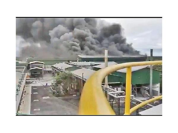 Incendio en Cooperativa Chortitzer causa pérdidas por USD 25 millones | Info Caacupe