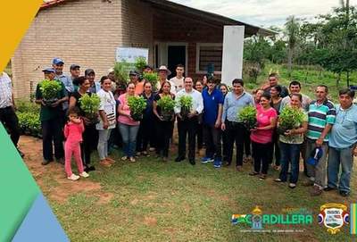 Gobernación entrega plantines de eucaliptos | Info Caacupe